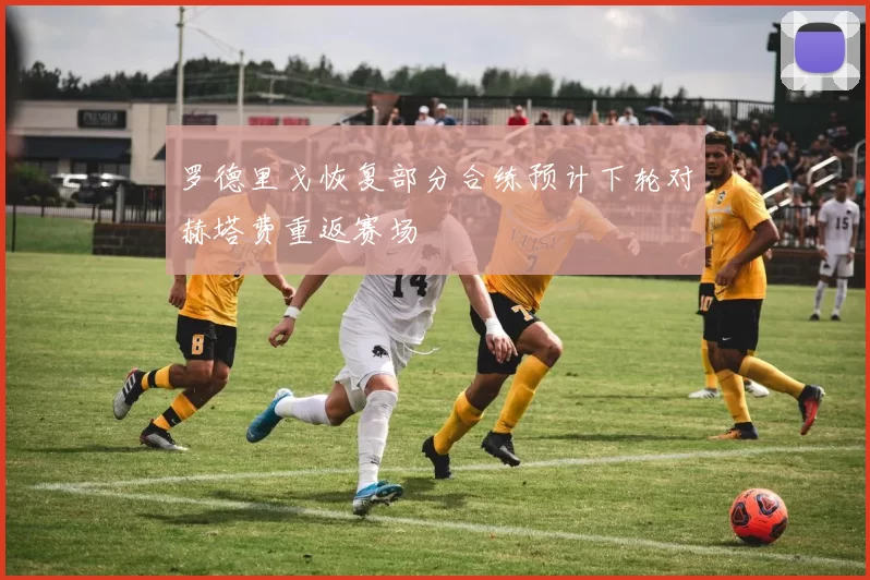罗德里戈恢复部分合练预计下轮对赫塔费重返赛场